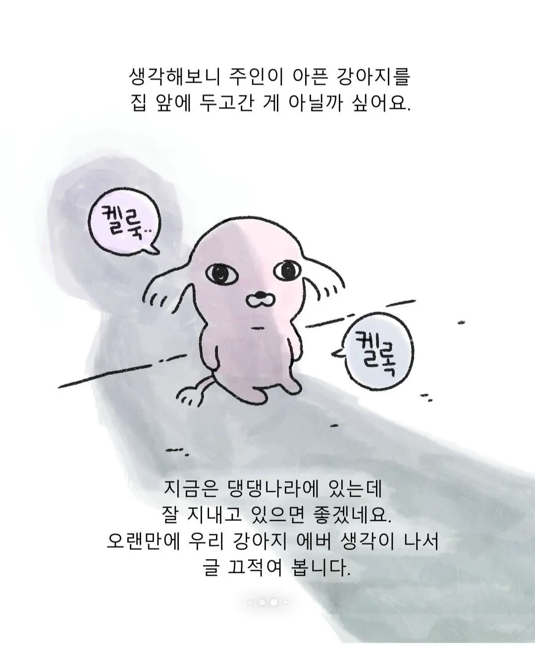 갑자기 찾아온 모르는 강아지 (8/10)
