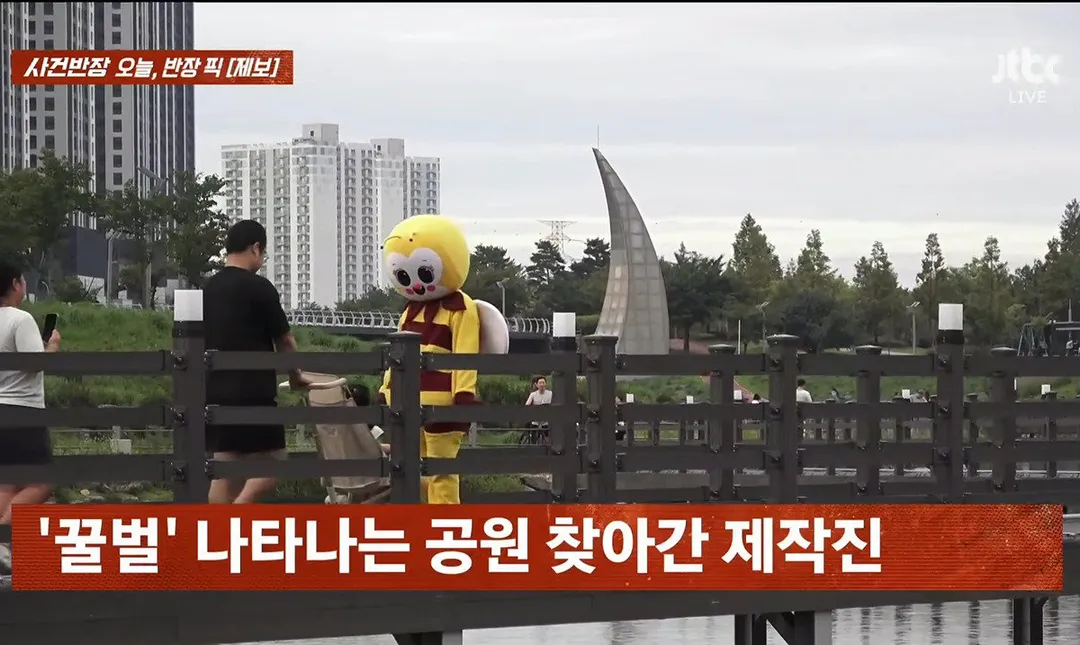 사건반장에 나온 꿀벌 복장 입는 이유 (영상 올렸어) (7/17)