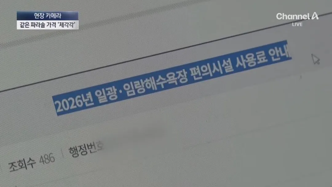 피서지 파라솔 바가지 요금을 취재하러간 채널A (8/20)
