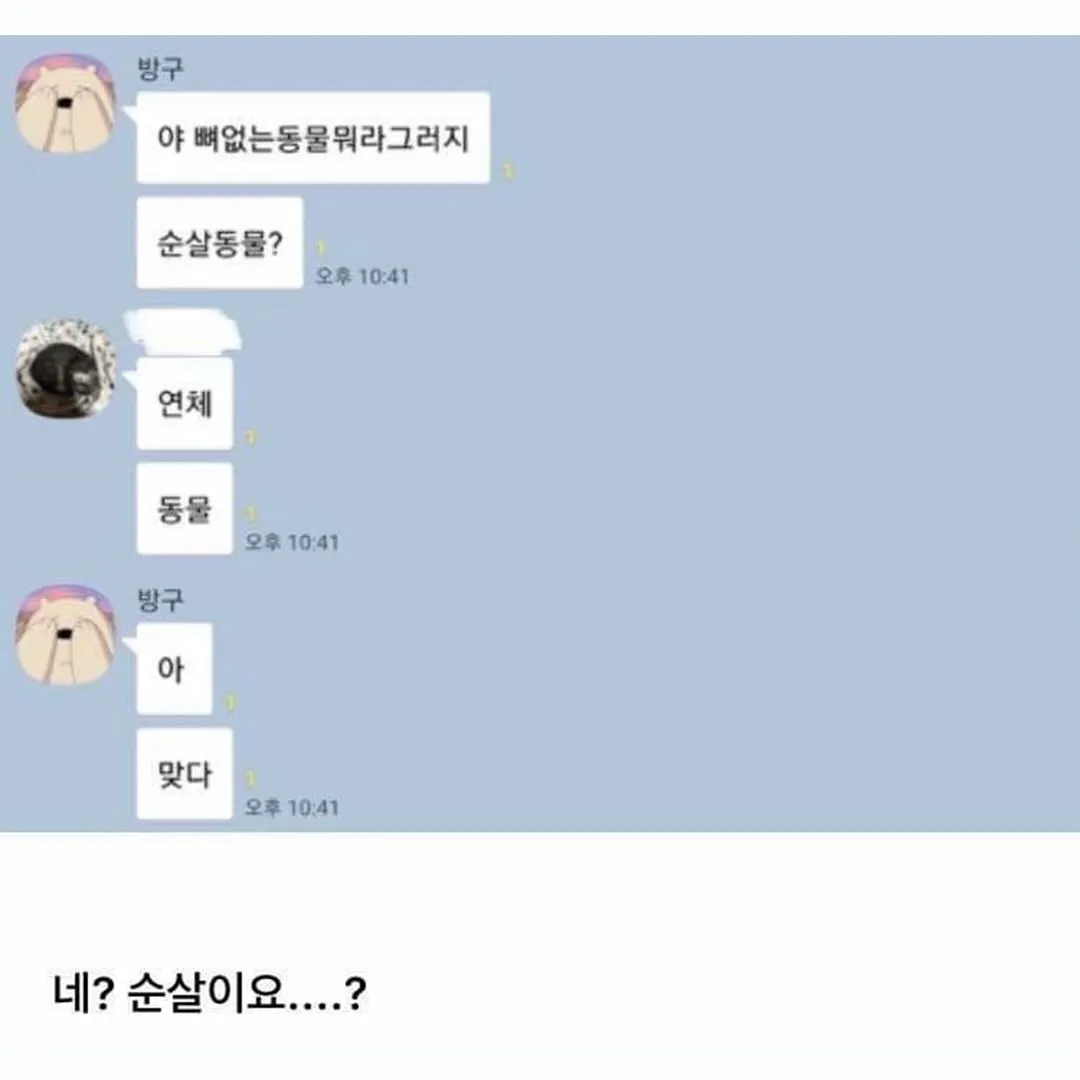 어버이날 밀푀유나베 해주려고 샤브샤브용 소고기 사려는데 (14/20)