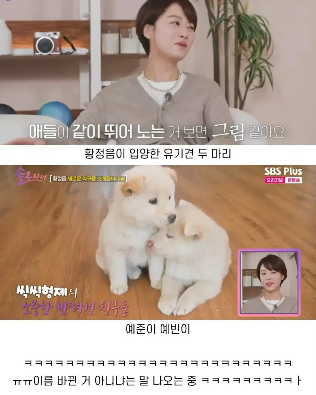 뭔가 이름이 잘못된거 같은 황정음 가족.jpg (2/2)
