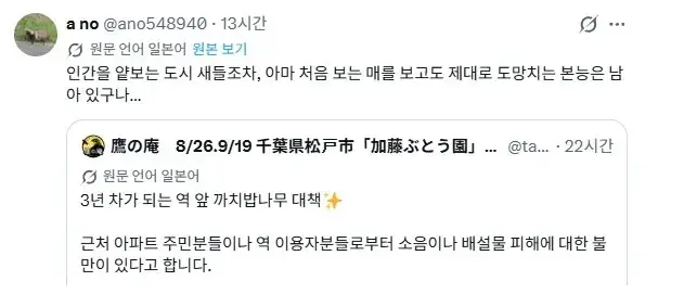 사람을 무서워하지 않는 새들을 쫓아내는 방법 (2/2)