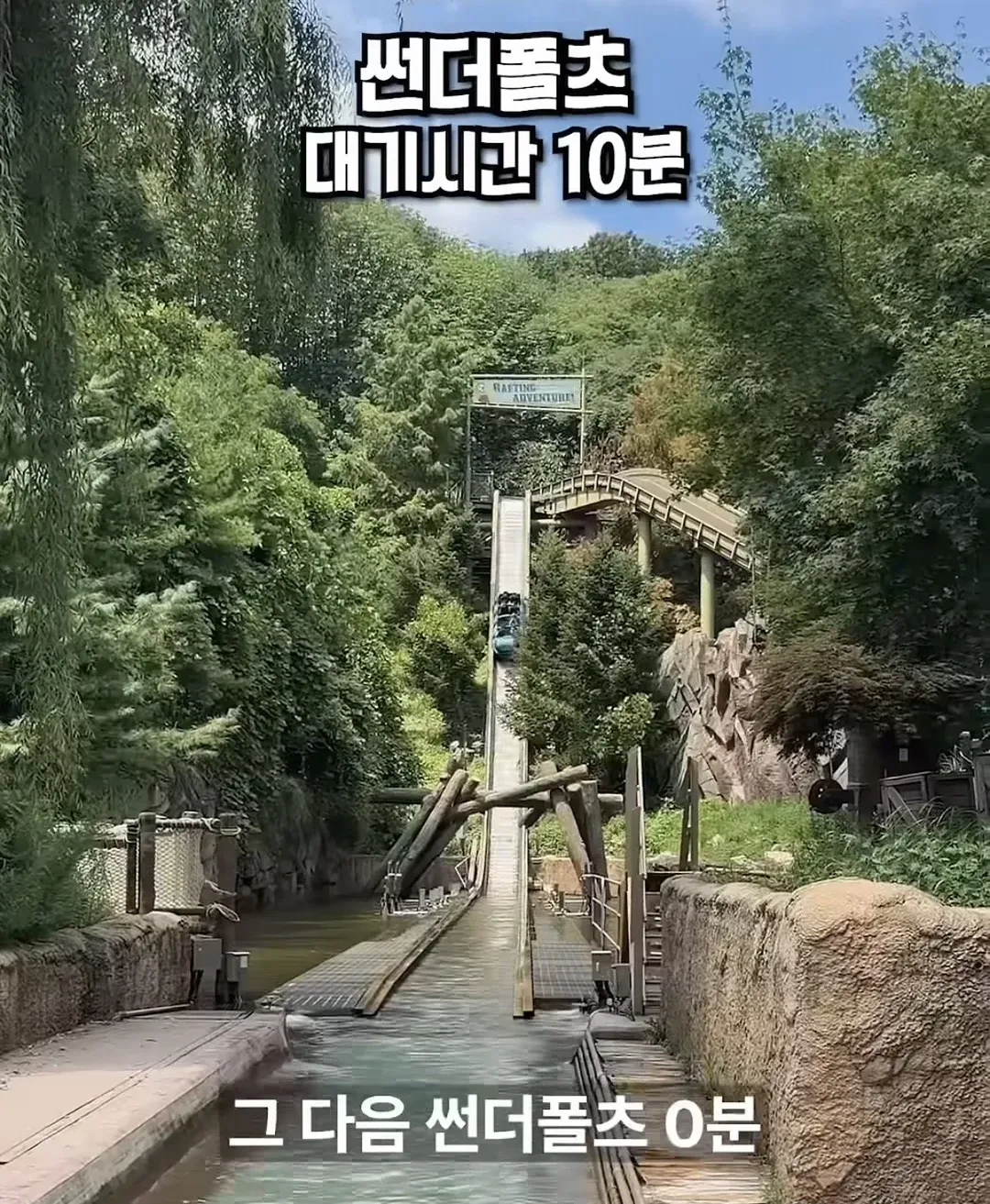 평일 점심 에버랜드 근황 (5/12)