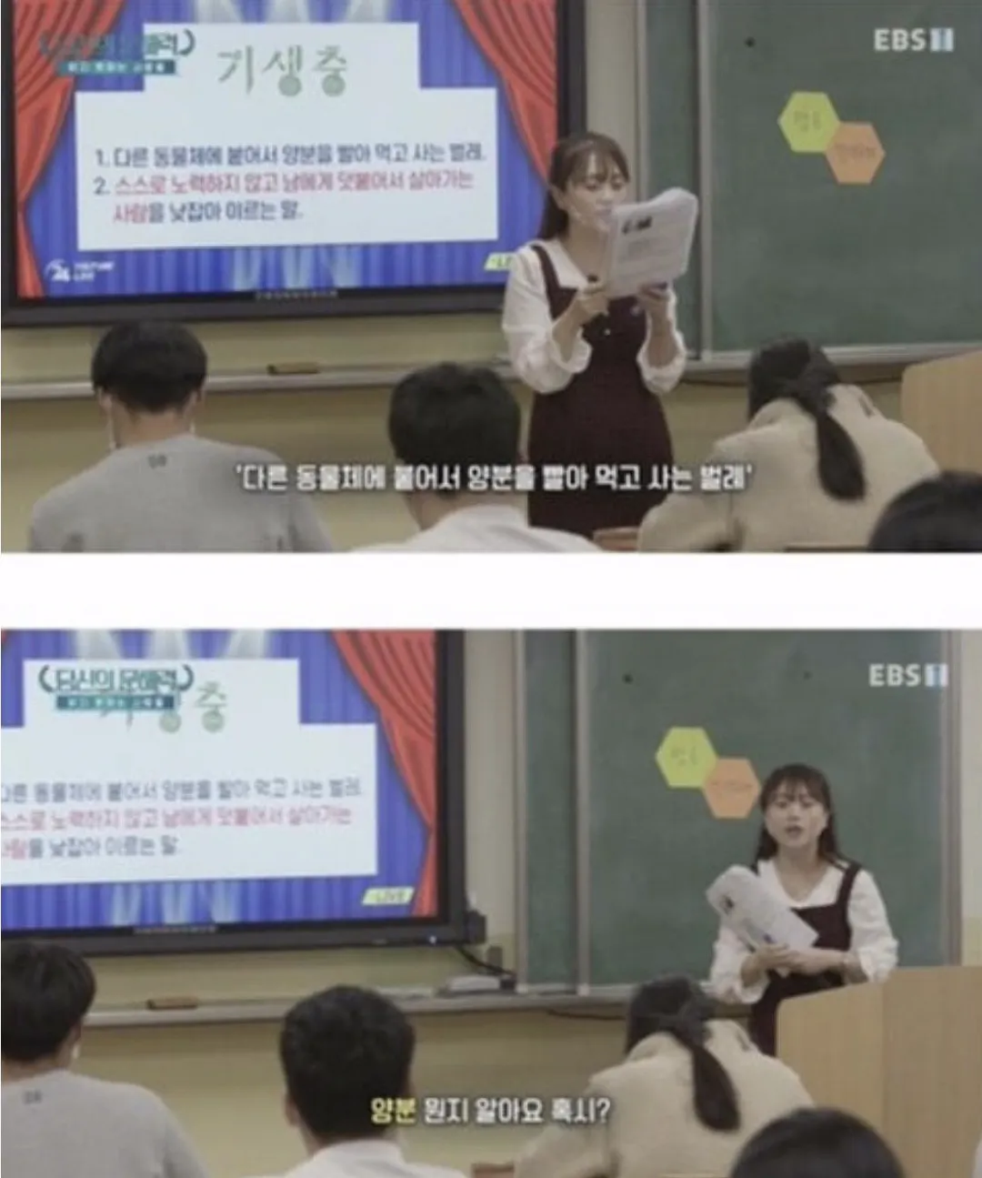 요즘 사람들의 심각한 문해력 수준; + 유퀴즈추가 (16/20)