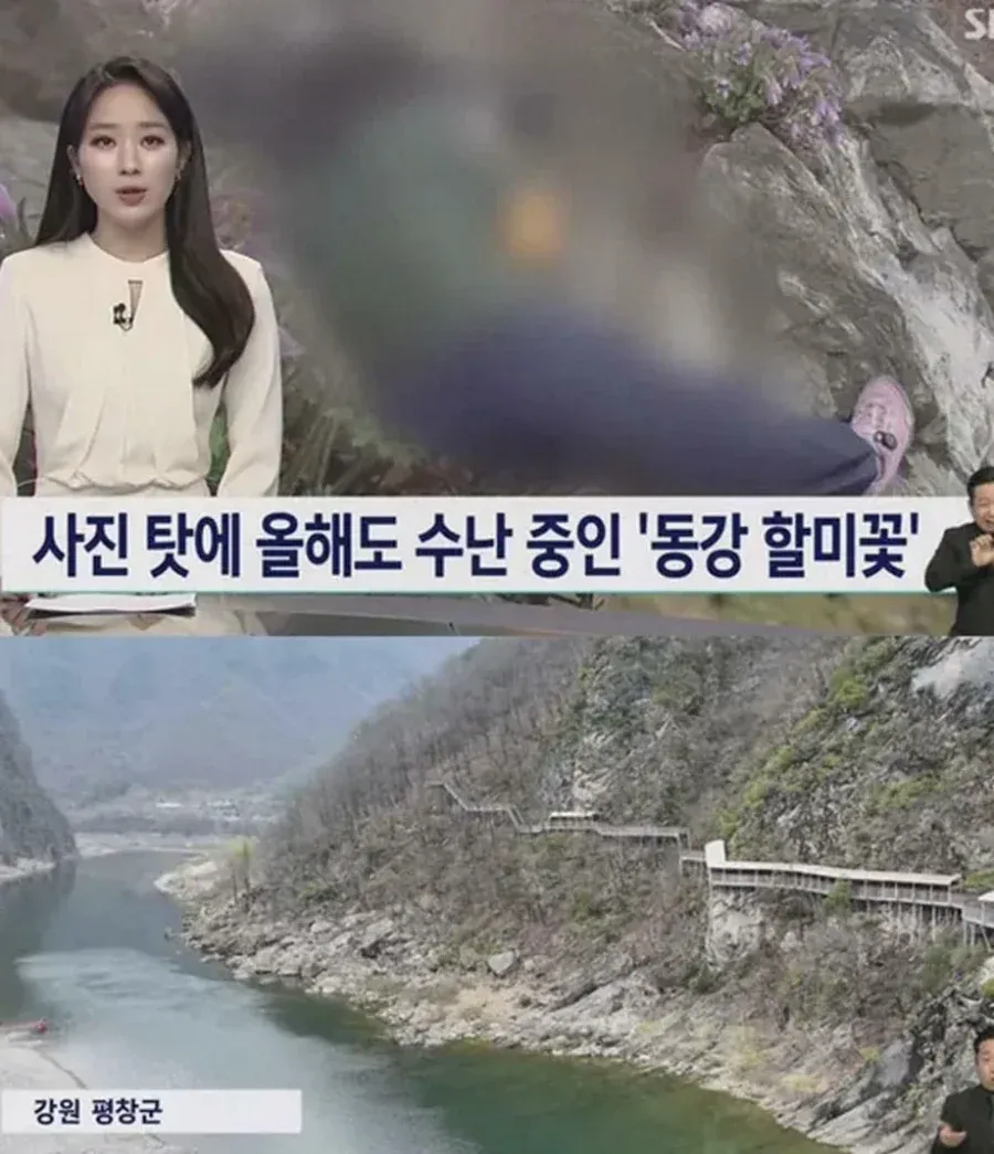 사진작가 동호회의 엽기적인 행각 (2/6)