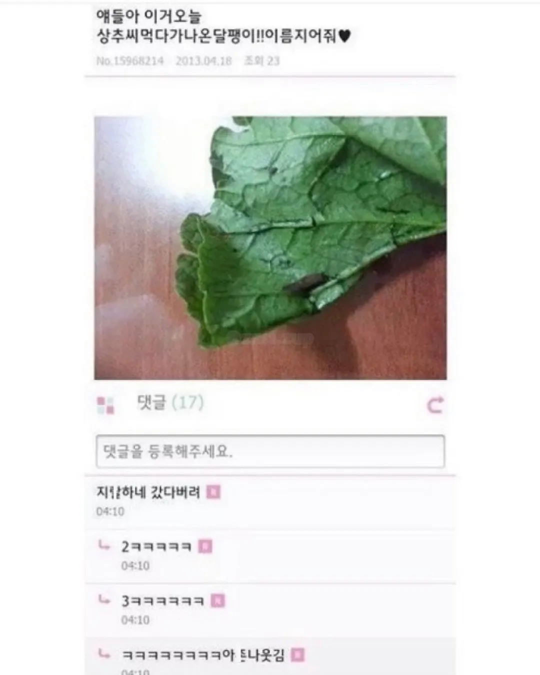 다이어트 4일만에 포기함. 나 지금 책상도 씹어먹을 수 있을거 같은데 뭐 먹을까 (7/19)