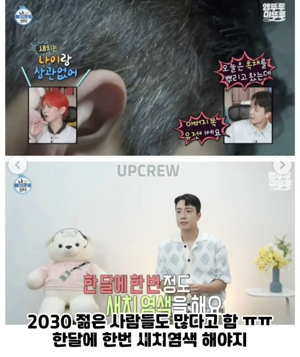 조인성 피셜:염색 안하면 옆머리 전부 새치 (+유아인 외 새치 연예인 모음) (8/13)