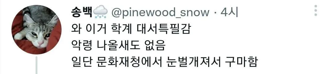 ?? : 악령 나올새도 없음. 문화재청에서 눈벌개져서 구마 함 (3/5)