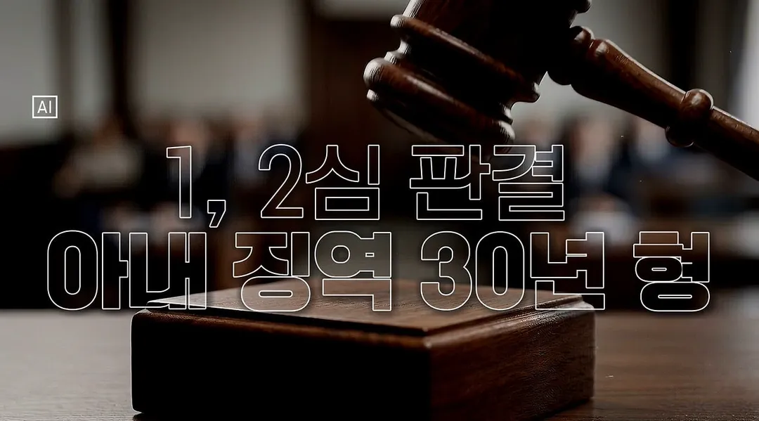보험금 3억 노린 아내가 무죄라고 하는 판사에게 3억이 적냐고 하는 검사.jpg (8/20)
