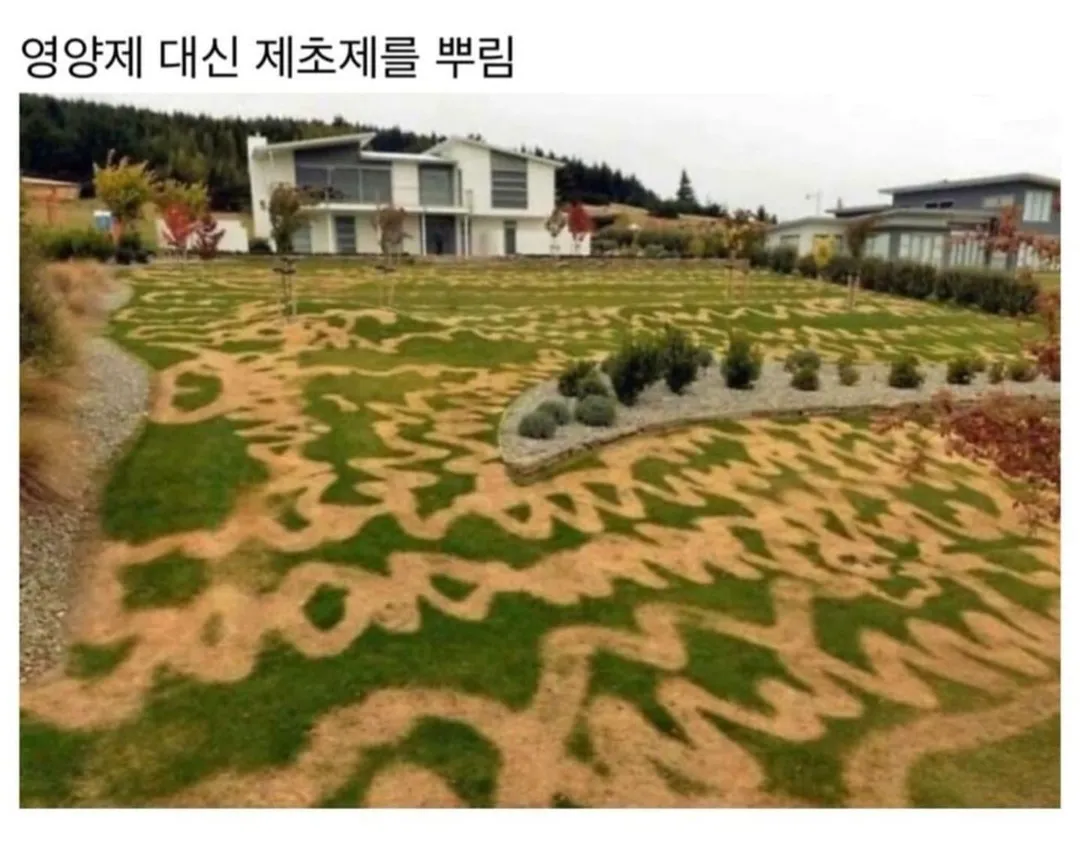 천하제일 망한 집 대회 (2/9)