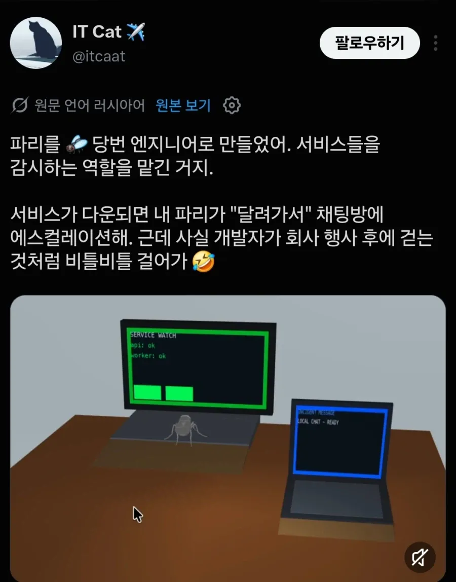 초파리 근황 (3/6)
