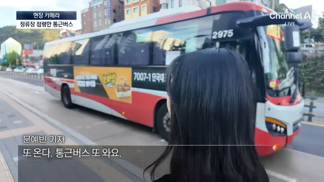 불법이지만 사람들이 잘 모르는것 (10/20)
