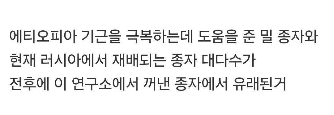 2차 대전기 수많은 식량을 가지고 아사한 사람들.jpg (3/3)