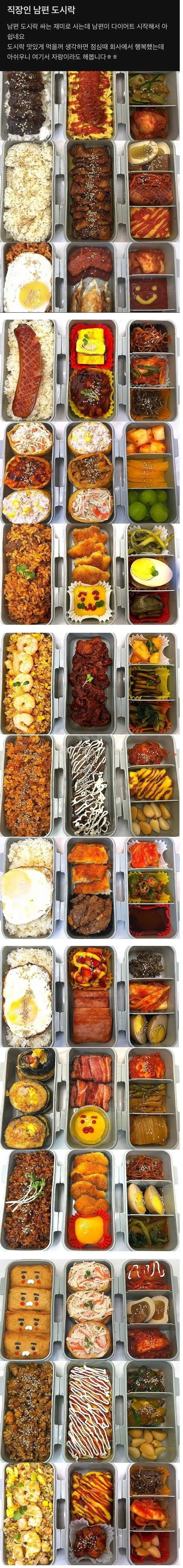 남편 도시락 싸주다가 핀잔 들은 여자 (2/2)