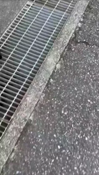 오늘 자 일본에서 난리난 학폭 영상.gif (1/2)