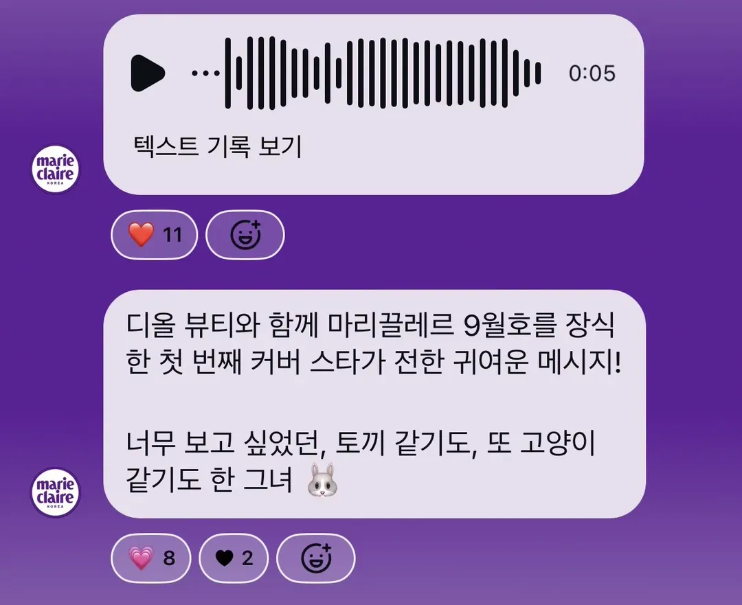 화보 찍은듯한 뉴진스 해린.jpg (4/4)