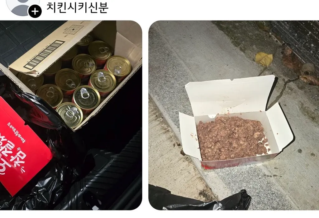 쓰레드에서 핫한 캣맘 퇴치기 (12/15)