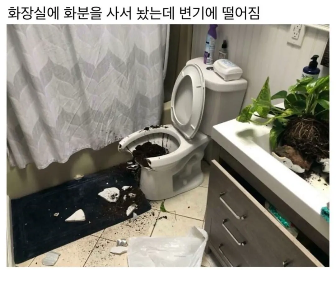 천하제일 망한 집 대회 (4/9)