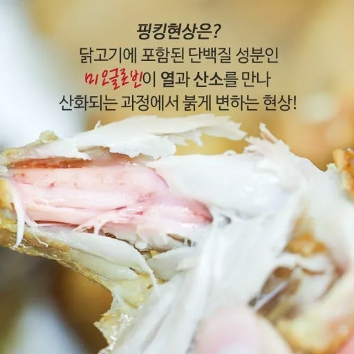 현재 핑킹 현상이다 아니다로 논란중인 글.jpg (2/2)