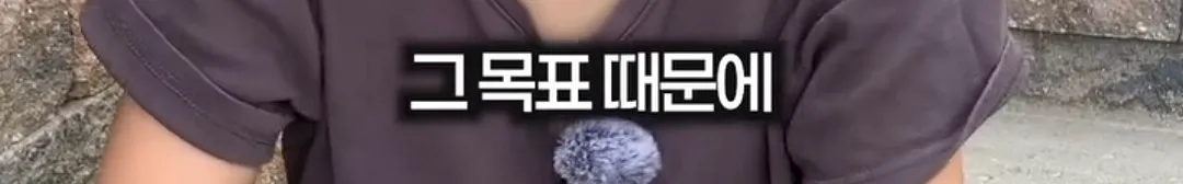 광복은 우리 힘으로 이뤄낸 것이 아니라 미국이 핵떨궈서 일본이 항복한거잖아요 (15/20)