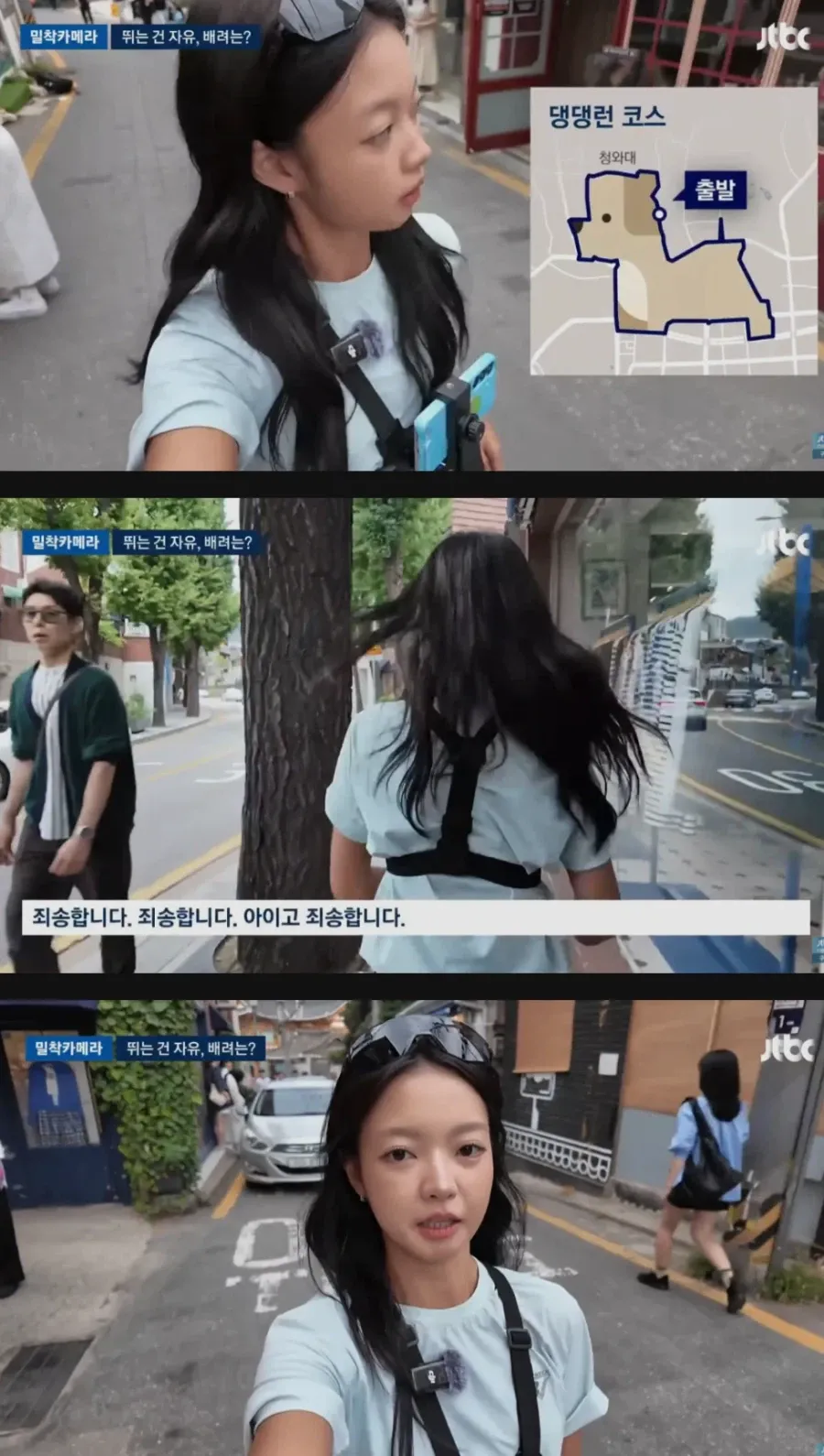 댕댕런 민폐러너들 때문에 몸살이라는 경복궁 (3/7)