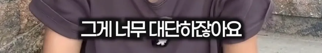 광복은 우리 힘으로 이뤄낸 것이 아니라 미국이 핵떨궈서 일본이 항복한거잖아요 (17/20)