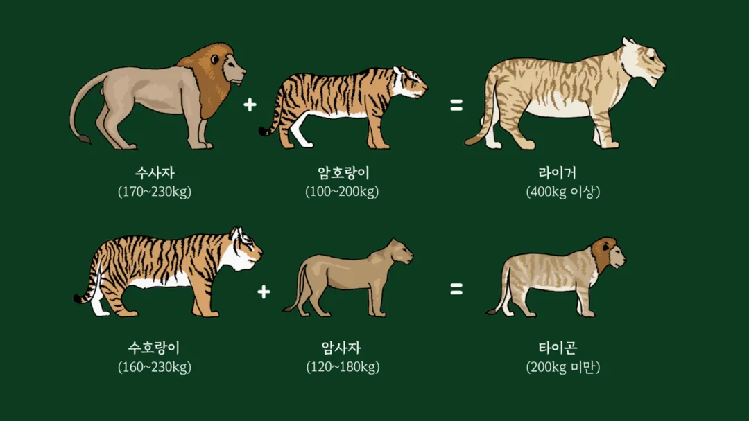 진화론을 믿지 않는 박진영.jpg (5/5)