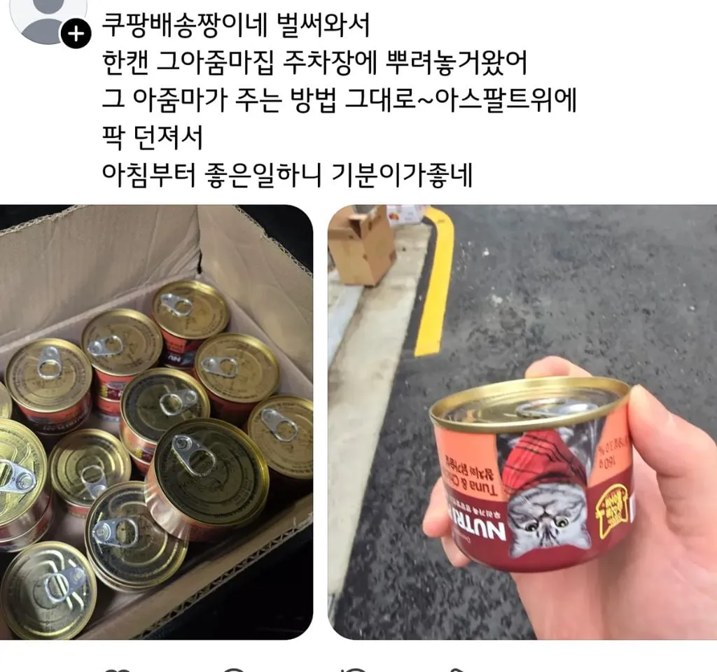 쓰레드에서 핫한 캣맘 퇴치기 (4/15)