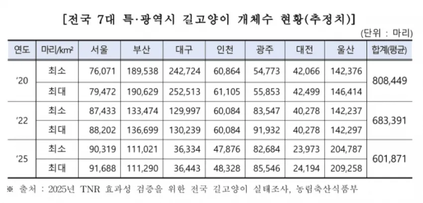 대구 고양이들에게 대체 무슨 일이? ㄷㄷㄷ (3/6)