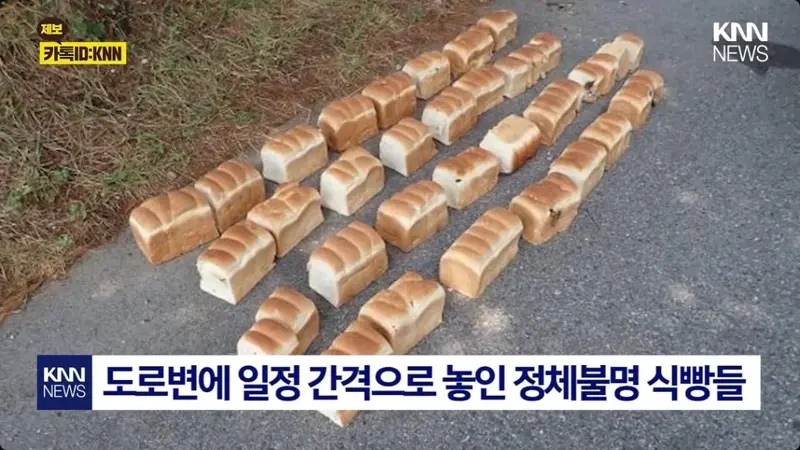 일본에서 난리난 기습 곰맘 시위 (1/7)