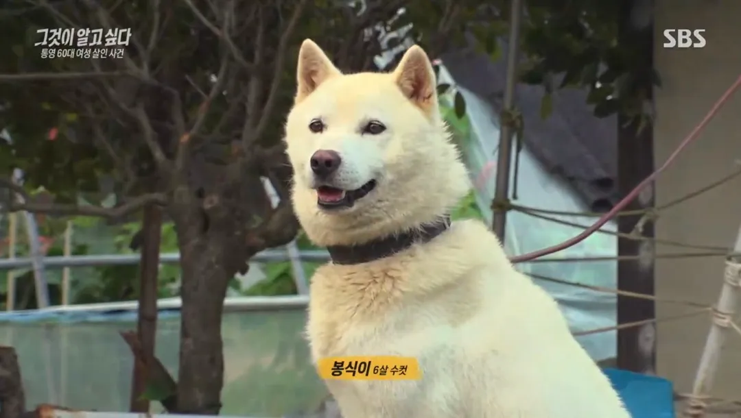 거의 동물농장이었다는 어제자 그알.jpg (7/19)