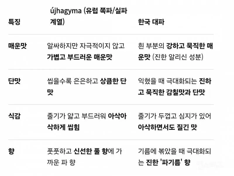 한국사람들은 보고도 못 믿는 헝가리 병원 환자식.jpg (9/9)