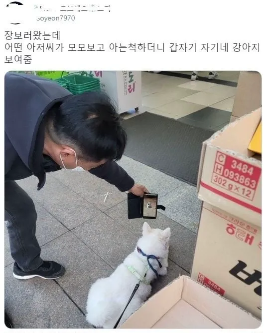 운전하는데 강아지가 인사해 줌 (19/20)