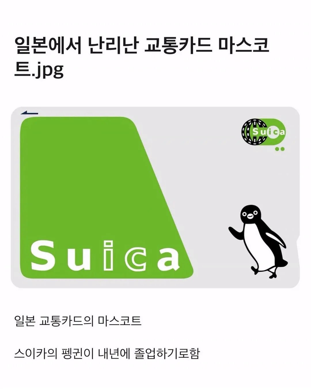 일본에서 난리난 교통카드 마스코트 교체 (1/11)