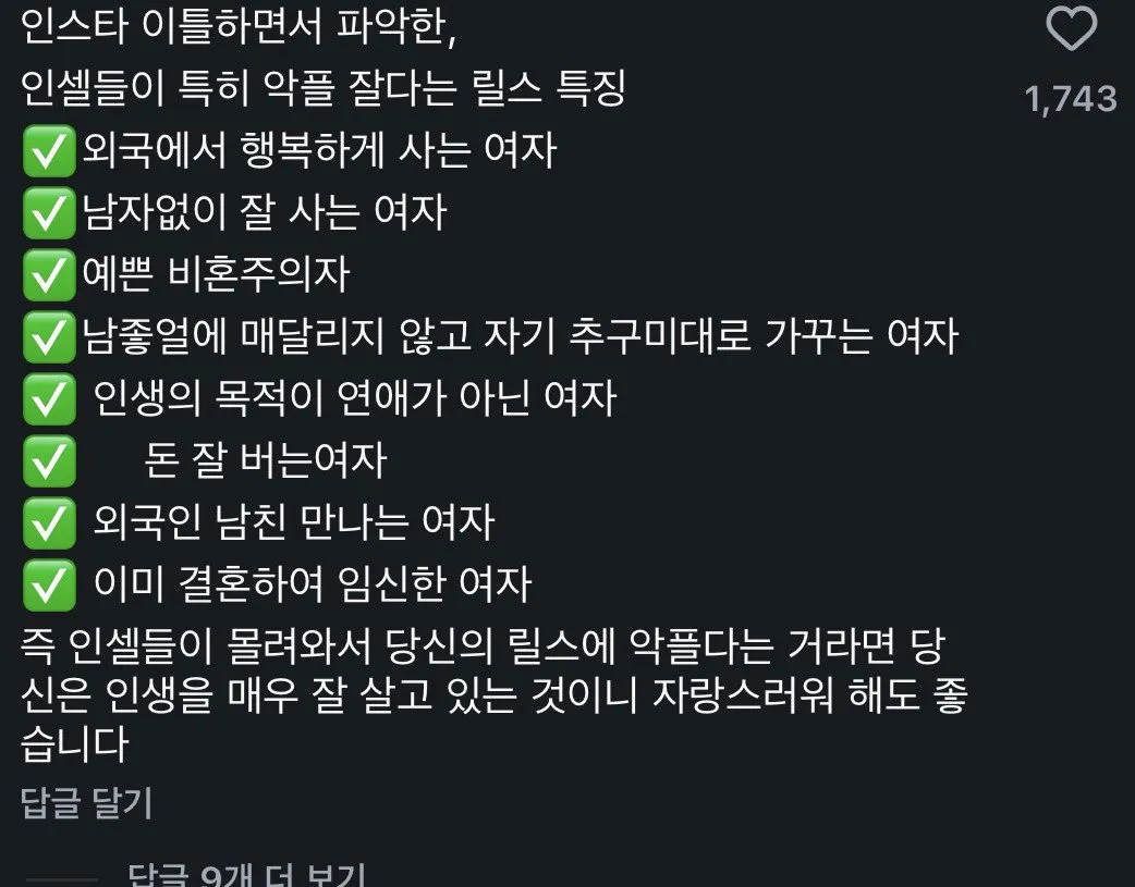인스타에 37살 미혼이라고 올리면 듣는 말.jpg (19/20)