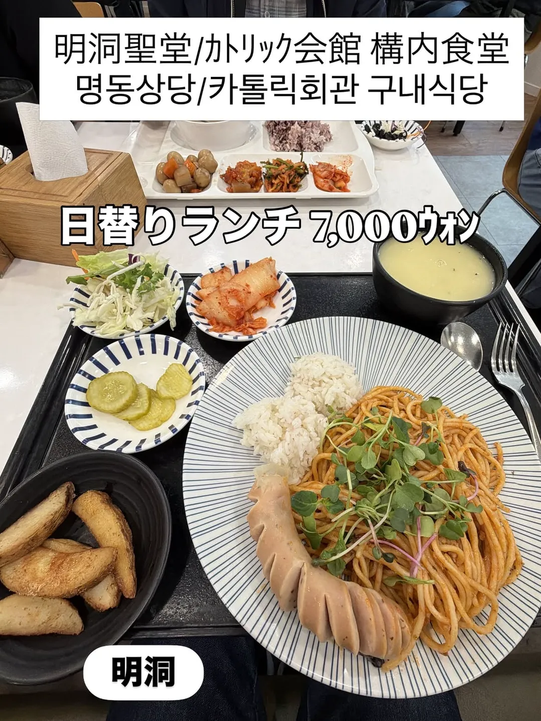 한국에서 특이한 여행을 하는 일본인.jpg (8/15)