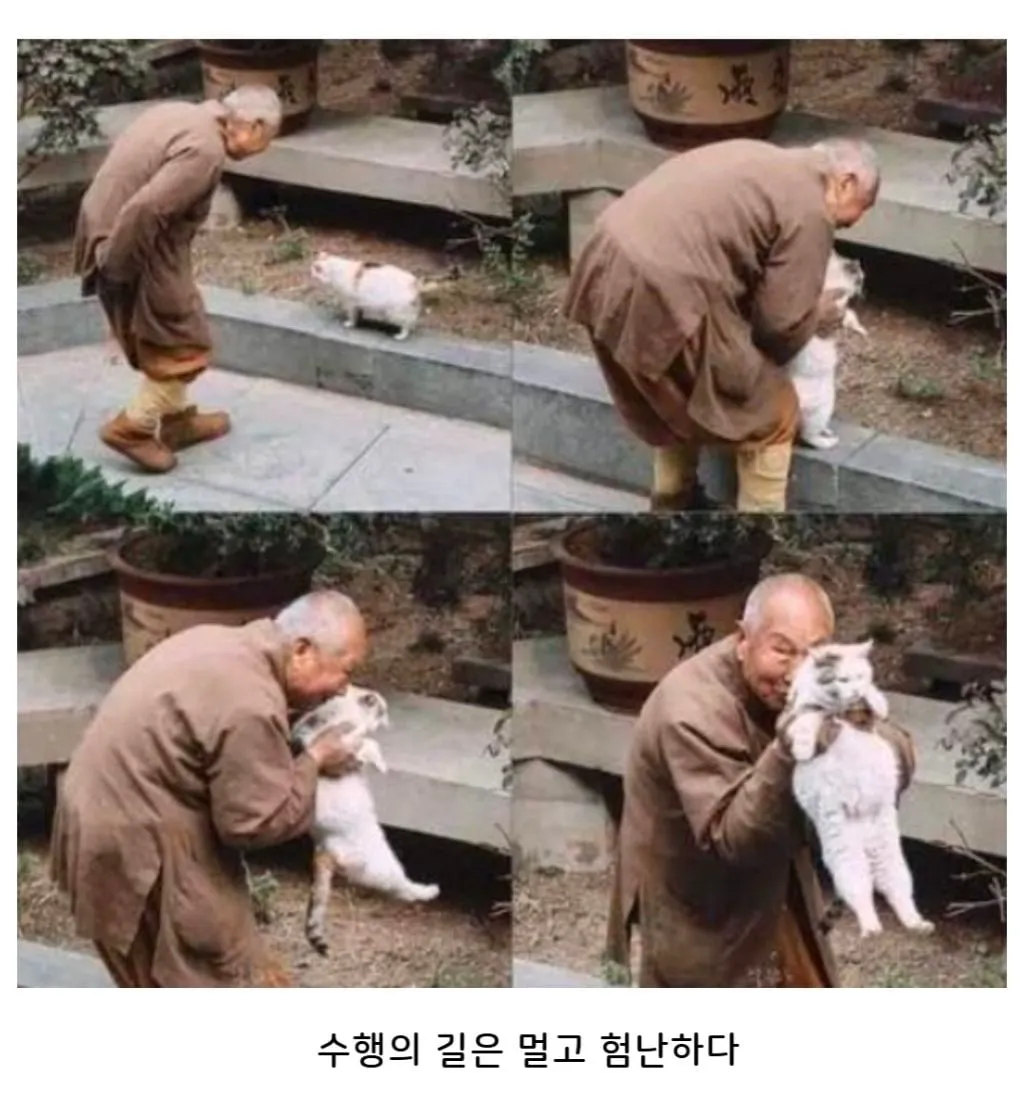 모든 욕망을 다 끊어낸 스님도 못참음 (2/2)