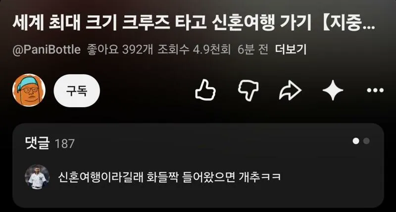 유튜바 빠니보틀, 여자친구랑 신혼여행 콘텐츠. (2/2)