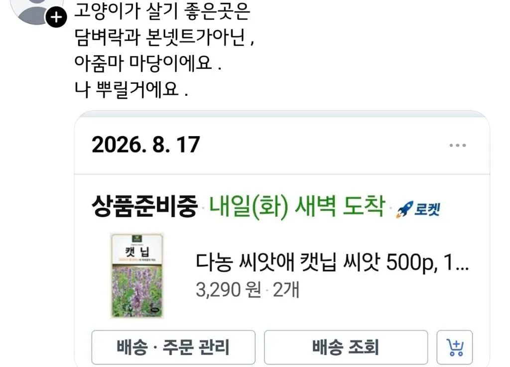쓰레드에서 핫한 캣맘 퇴치기 (11/15)
