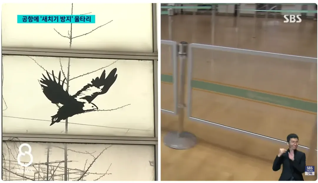 인천공항에 '새치기 방지' 울타리 설치 이후 근황 (5/6)