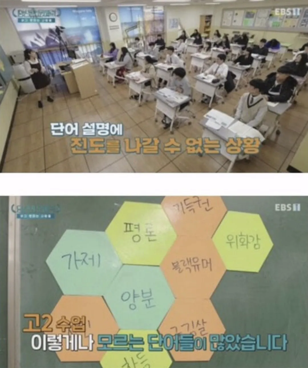 요즘 사람들의 심각한 문해력 수준; + 유퀴즈추가 (19/20)