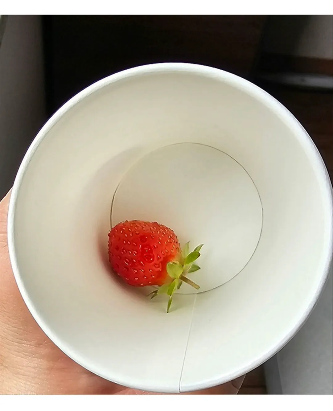 제가 직접 재배한거 보실분.jpg (10/10)