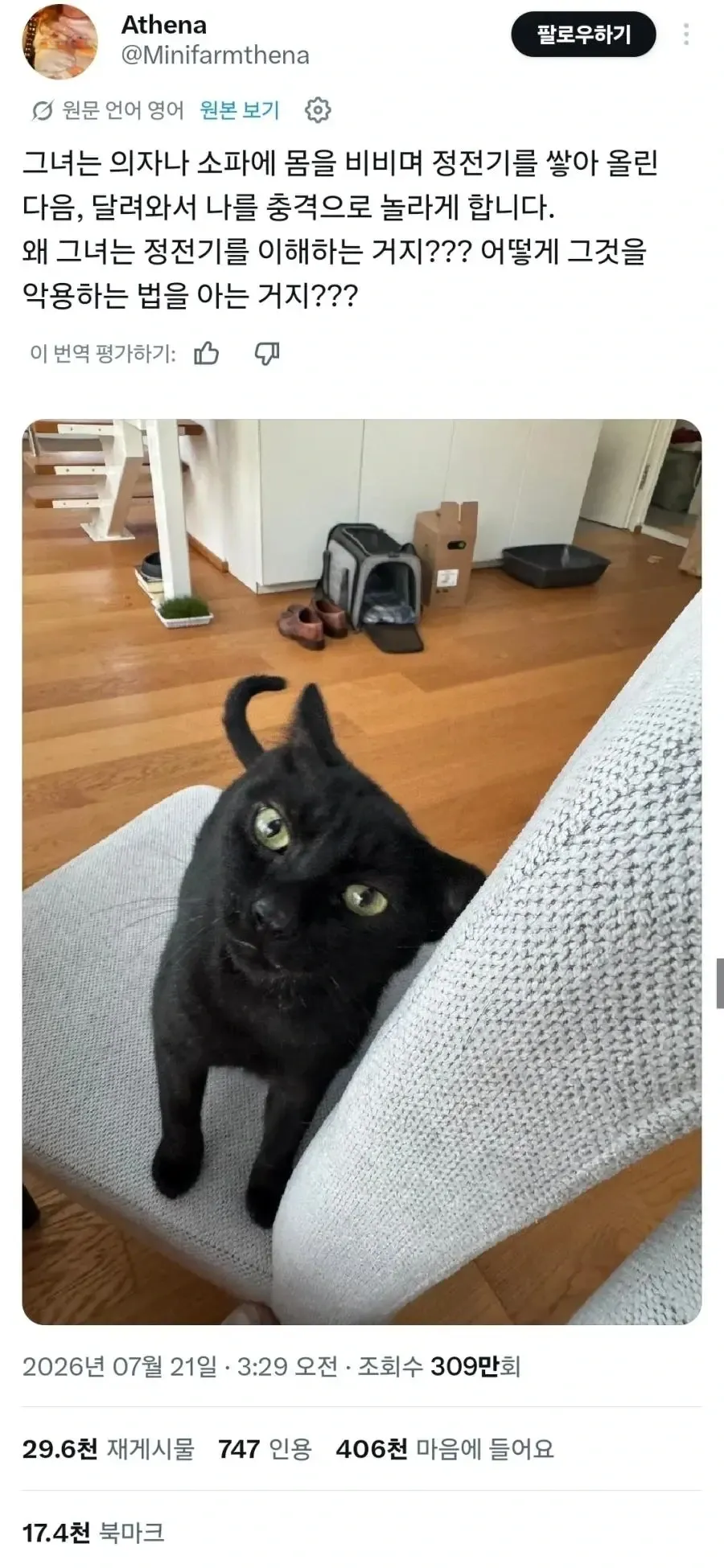 집사에게 전기 공격하는 고양이 (1/2)