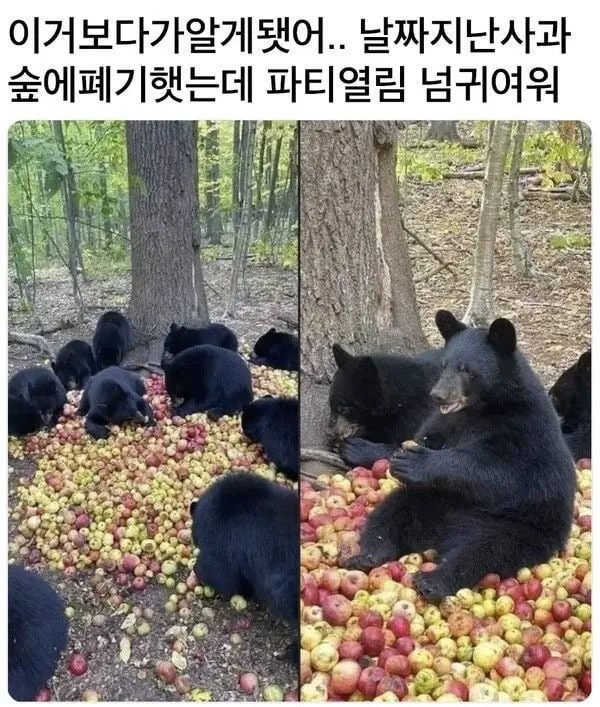 운전하는데 강아지가 인사해 줌 (11/20)