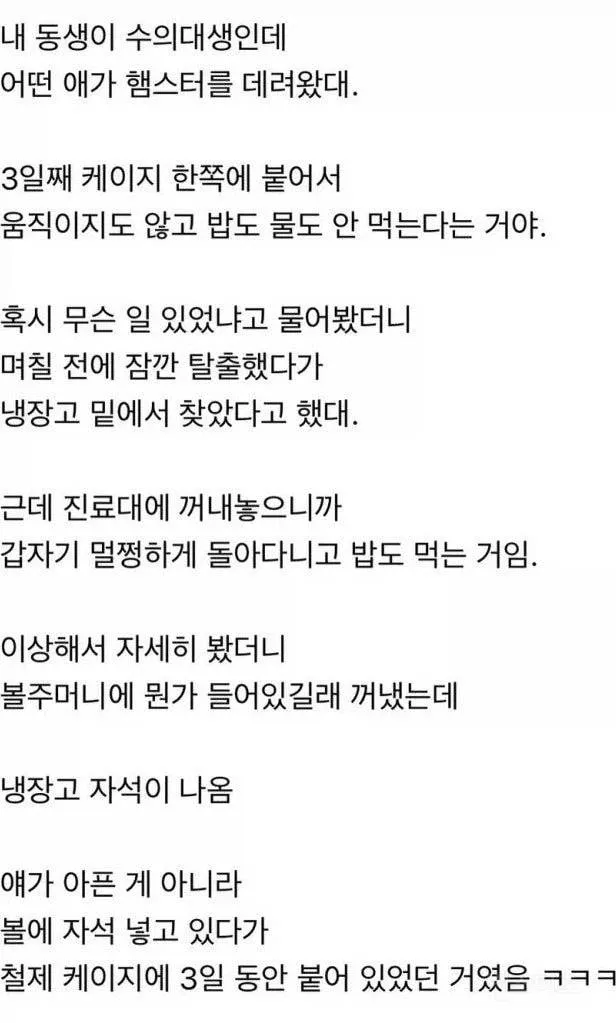 햄스터가 3일동안 밥을 안먹은 이유