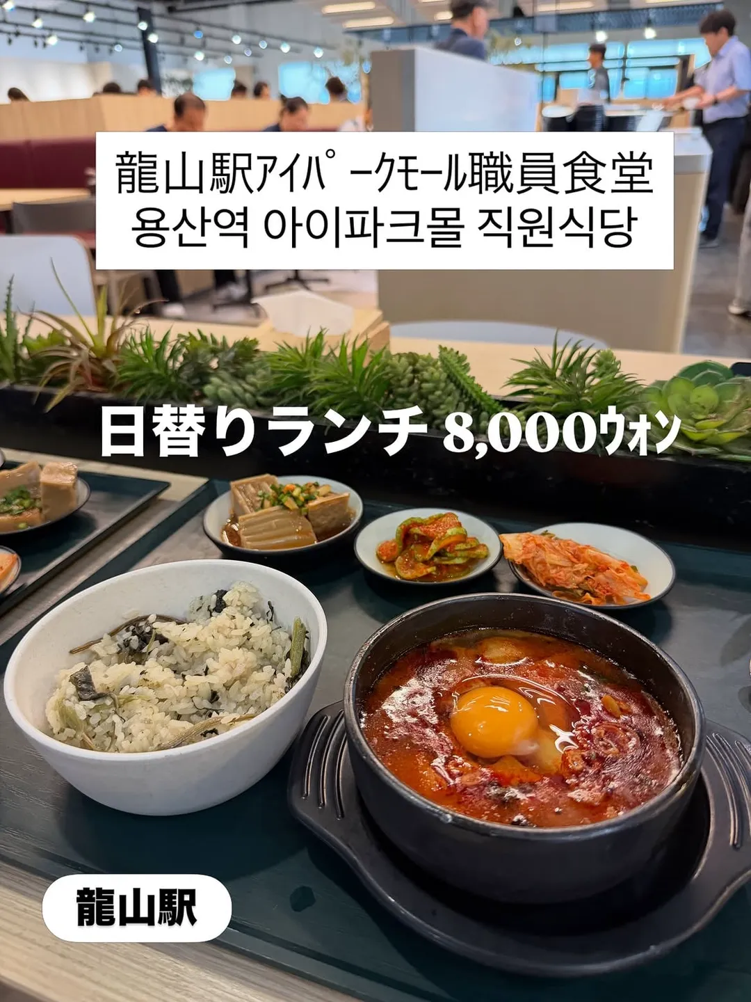 한국에서 특이한 여행을 하는 일본인.jpg (14/15)