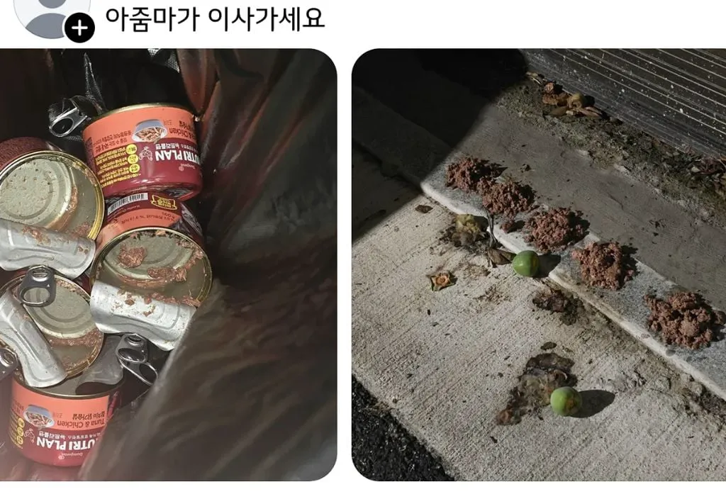쓰레드에서 핫한 캣맘 퇴치기 (9/15)
