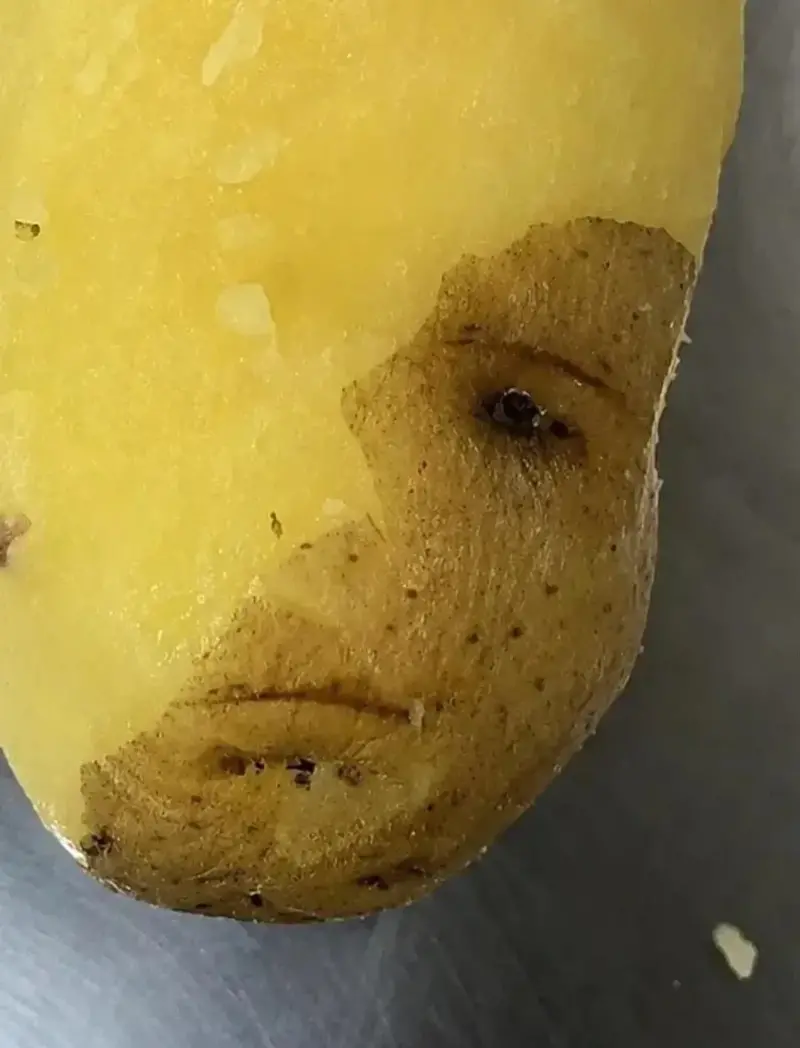 삶은 감자껍질 벗기다 그루트만남.jpg (2/2)