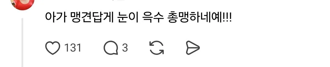 리트리버 보고 자꾸 맹견이라 우기는 아저씨 때문에 화가 난 견주 (9/9)