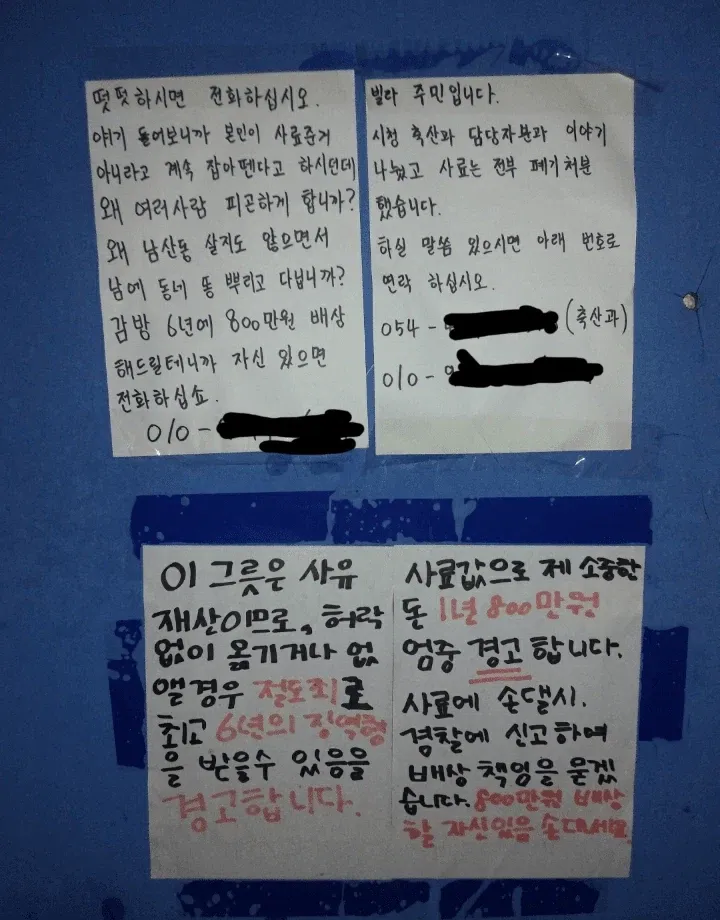 캣맘에게 잘못걸린 디시인 (2/9)